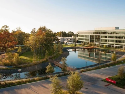 Halliburton: Cheney's Ties and Investor Expectations