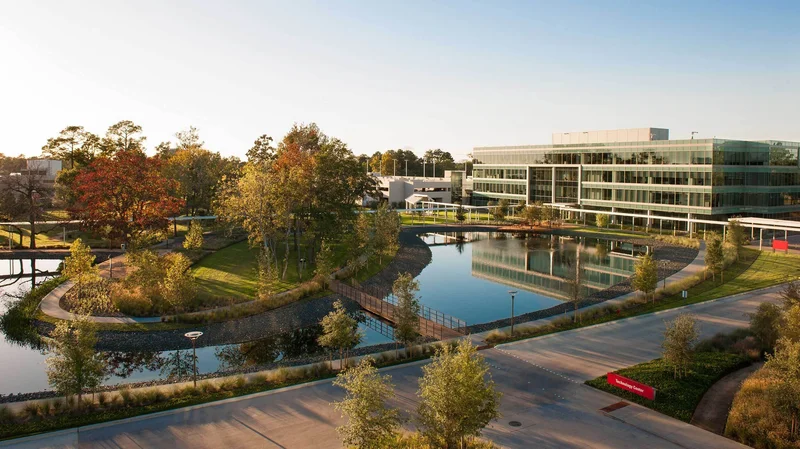 Halliburton: Cheney's Ties and Investor Expectations